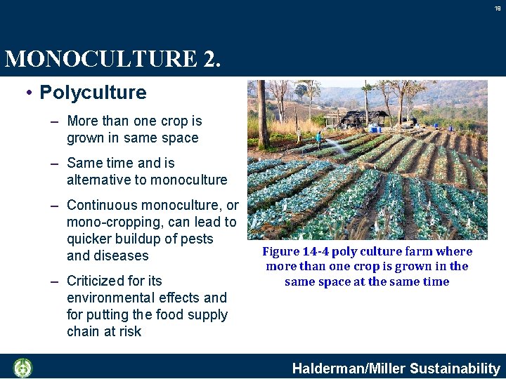 19 MONOCULTURE 2. • Polyculture – More than one crop is grown in same