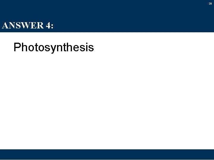 29 ANSWER 4: Photosynthesis 
