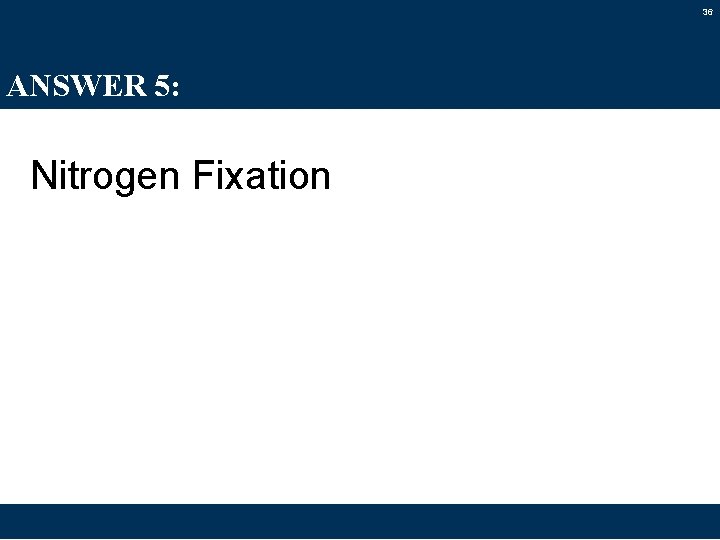 36 ANSWER 5: Nitrogen Fixation 