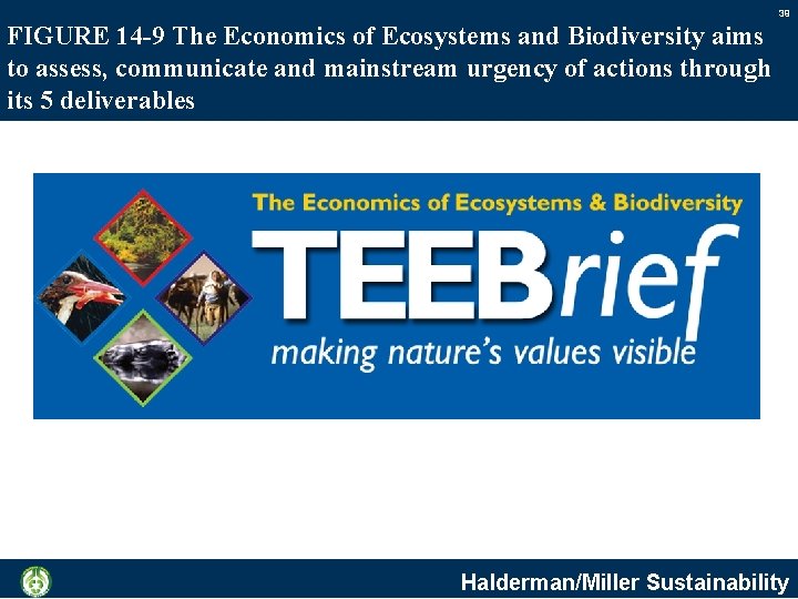 39 FIGURE 14 -9 The Economics of Ecosystems and Biodiversity aims to assess, communicate