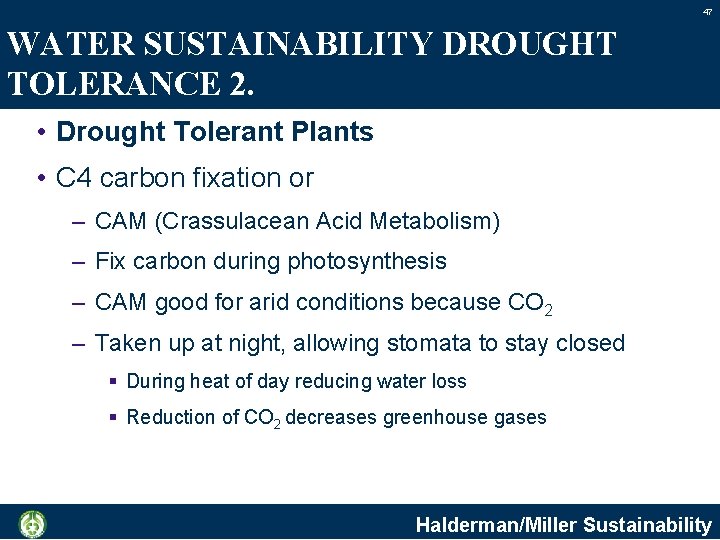 47 WATER SUSTAINABILITY DROUGHT TOLERANCE 2. • Drought Tolerant Plants • C 4 carbon