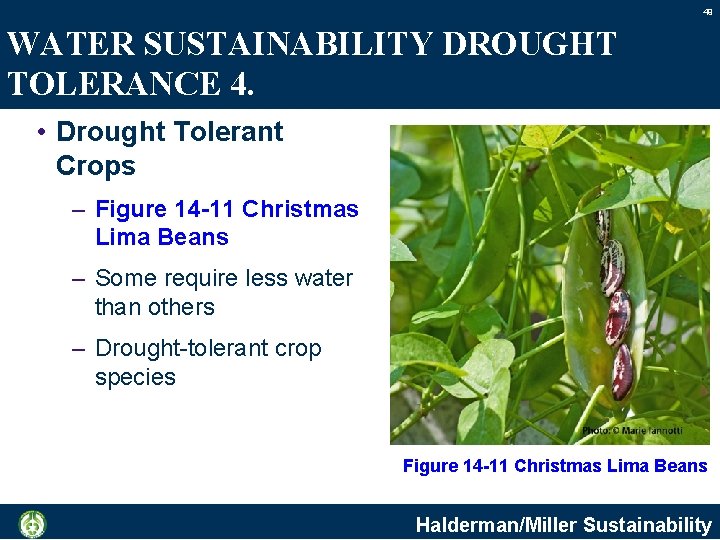 49 WATER SUSTAINABILITY DROUGHT TOLERANCE 4. • Drought Tolerant Crops – Figure 14 -11