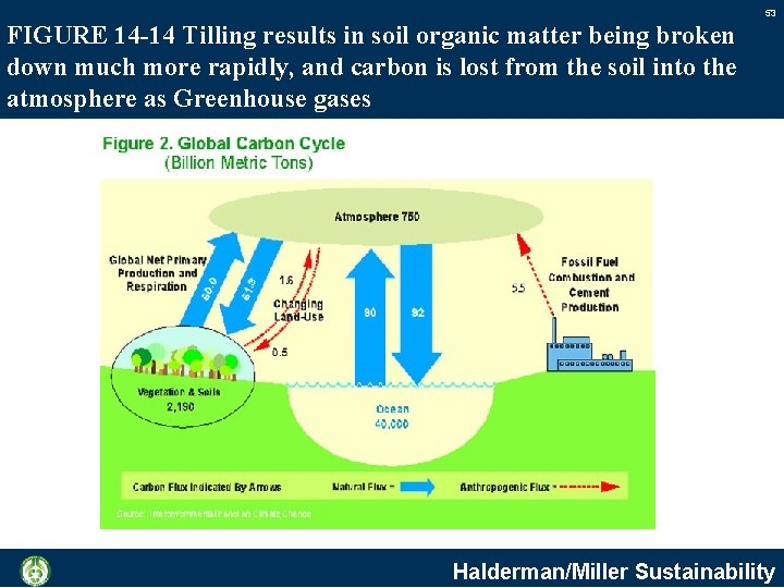 53 FIGURE 14 -14 Tilling results in soil organic matter being broken down much