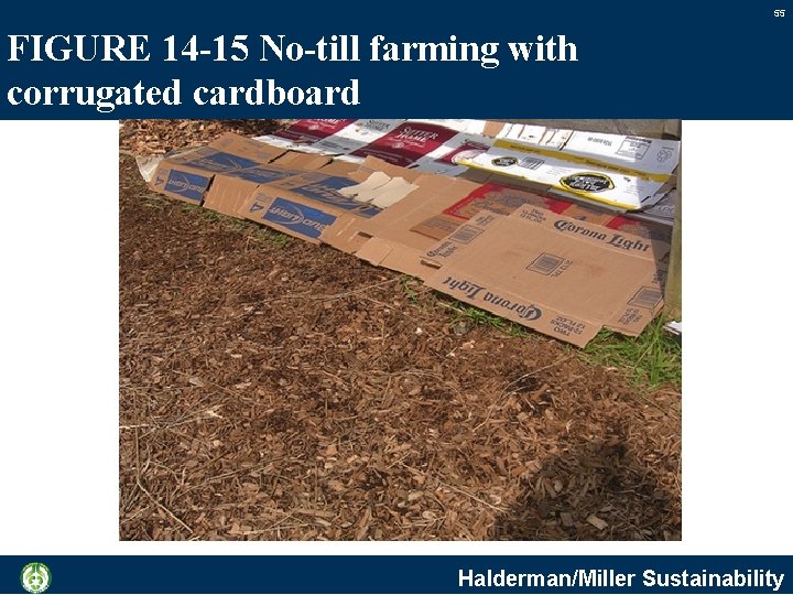 55 FIGURE 14 -15 No-till farming with corrugated cardboard Halderman/Miller Sustainability 