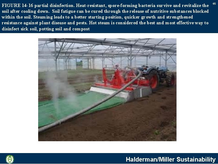 FIGURE 14 -16 partial disinfection. Heat-resistant, spore-forming bacteria survive and revitalize the soil after