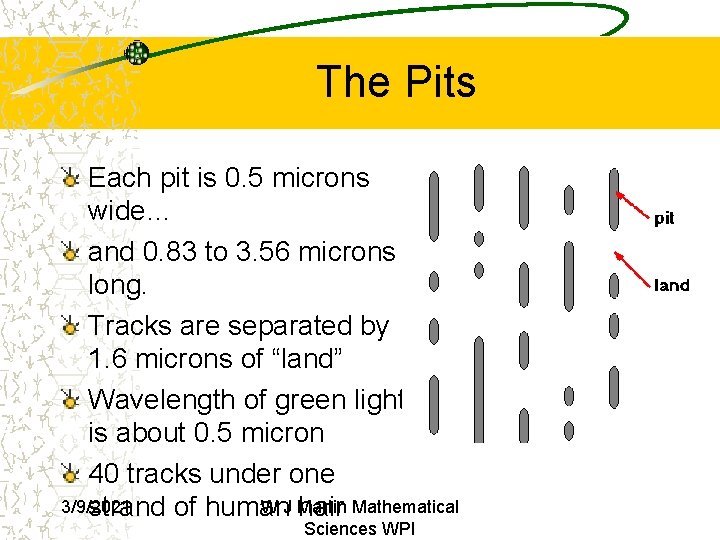 The Pits Each pit is 0. 5 microns wide… and 0. 83 to 3. The Pits Each pit is 0. 5 microns wide… and 0. 83 to 3.