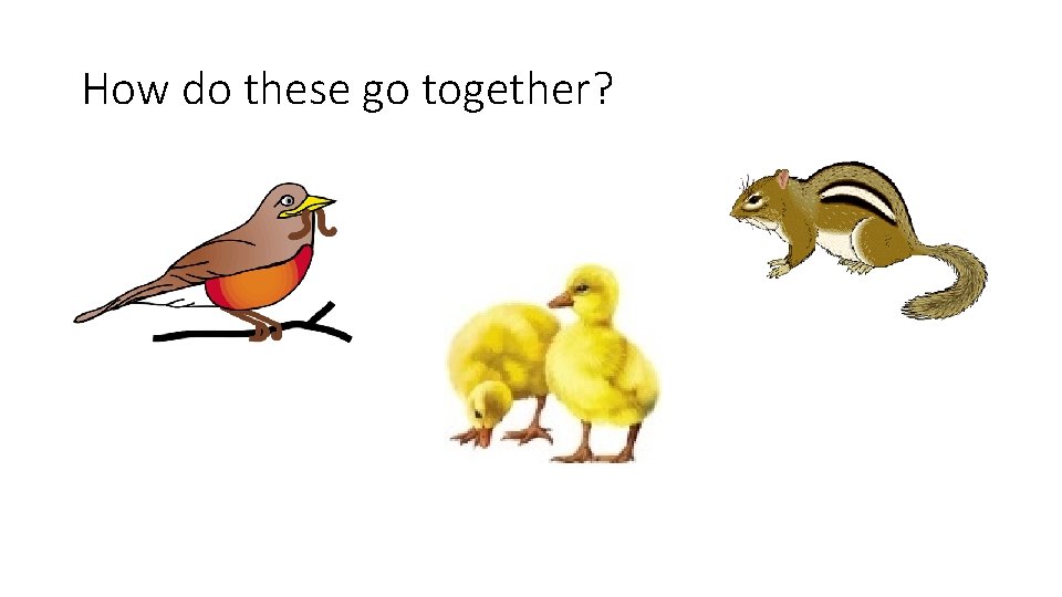 How do these go together? 