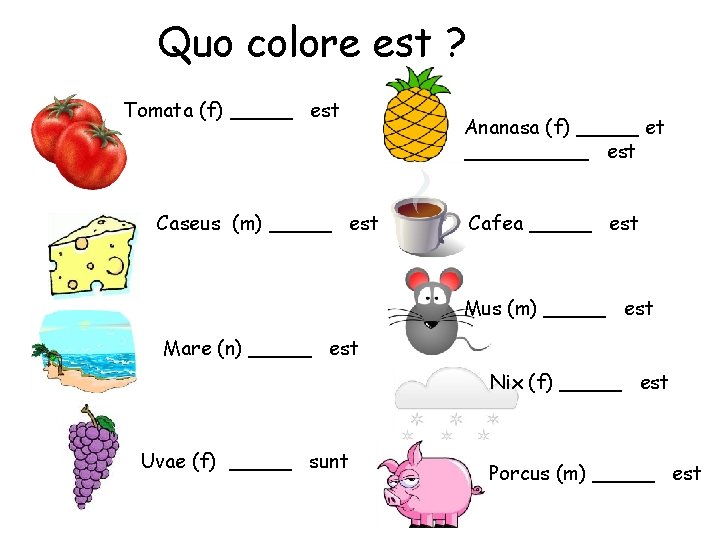 Quo colore est ? Tomata (f) _____ est Caseus (m) _____ est Ananasa (f)