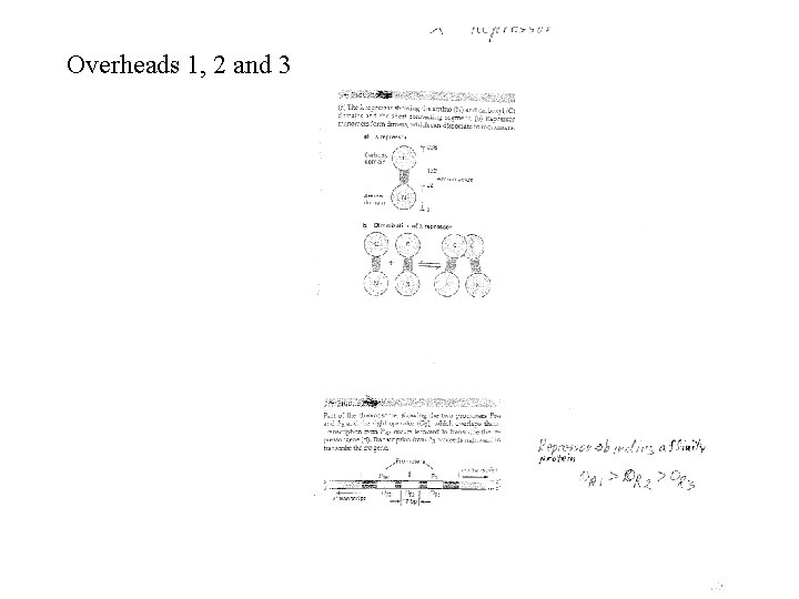 Overheads 1, 2 and 3 