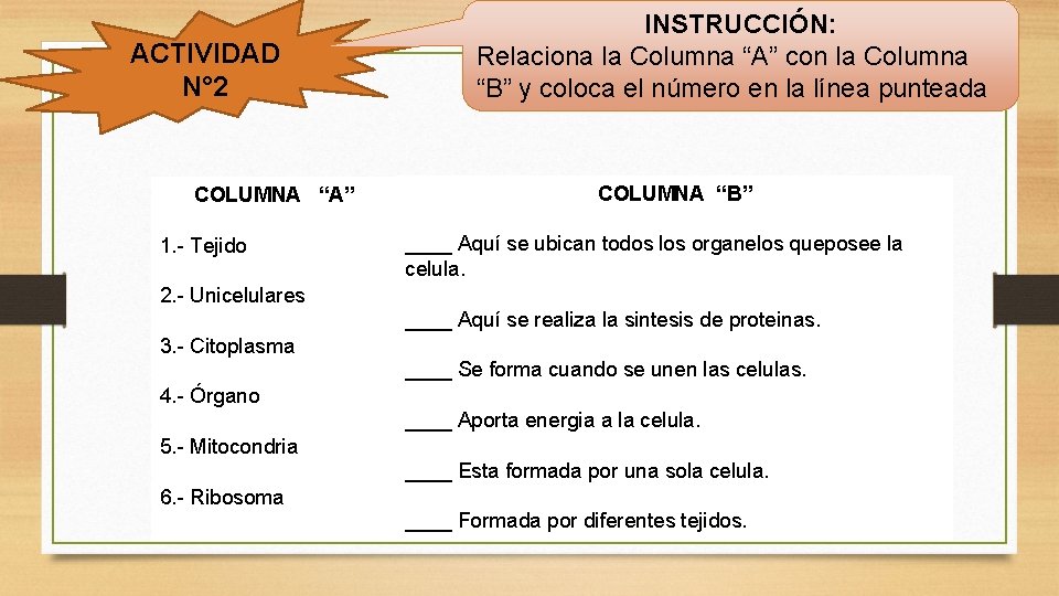 ACTIVIDAD N° 2 COLUMNA “A” 1. - Tejido INSTRUCCIÓN: Relaciona la Columna “A” con