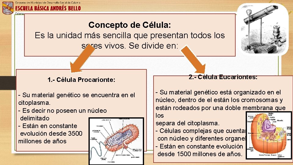 Concepto de Célula: Es la unidad más sencilla que presentan todos los seres vivos.