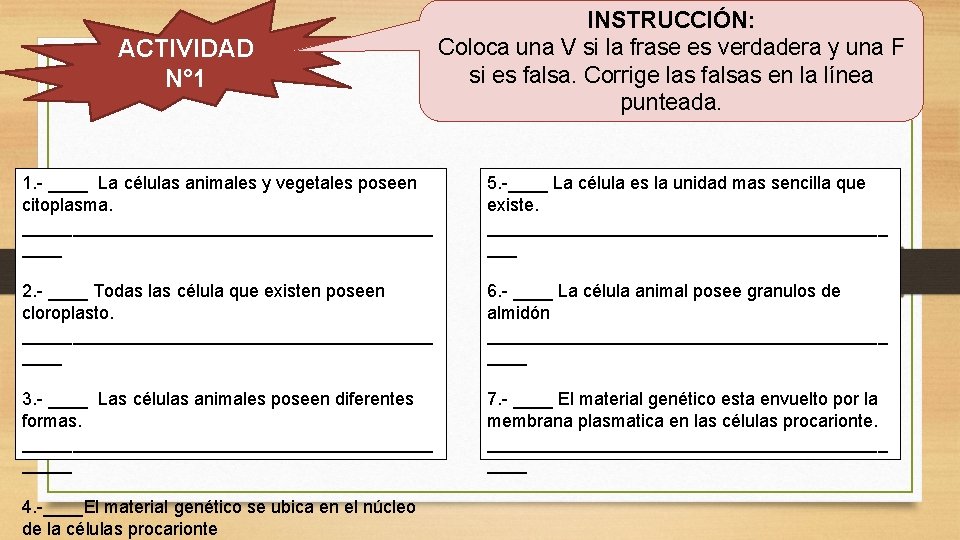 ACTIVIDAD N° 1 INSTRUCCIÓN: Coloca una V si la frase es verdadera y una