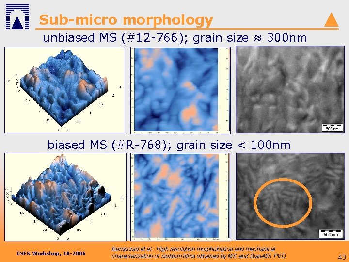 Sub-micro morphology unbiased MS (#12 -766); grain size ≈ 300 nm biased MS (#R-768);