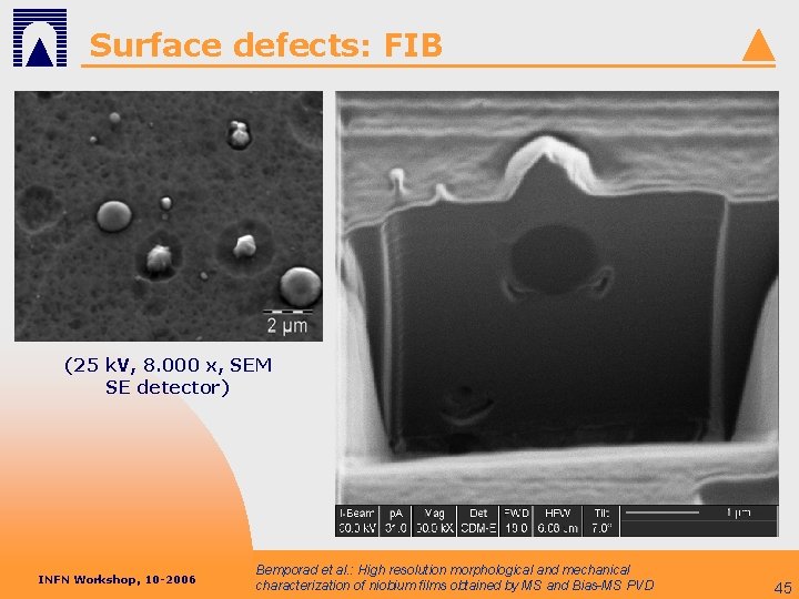 Surface defects: FIB (25 k. V, 8. 000 x, SEM SE detector) INFN Workshop,