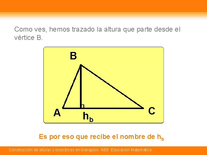 Como ves, hemos trazado la altura que parte desde el vértice B. B A