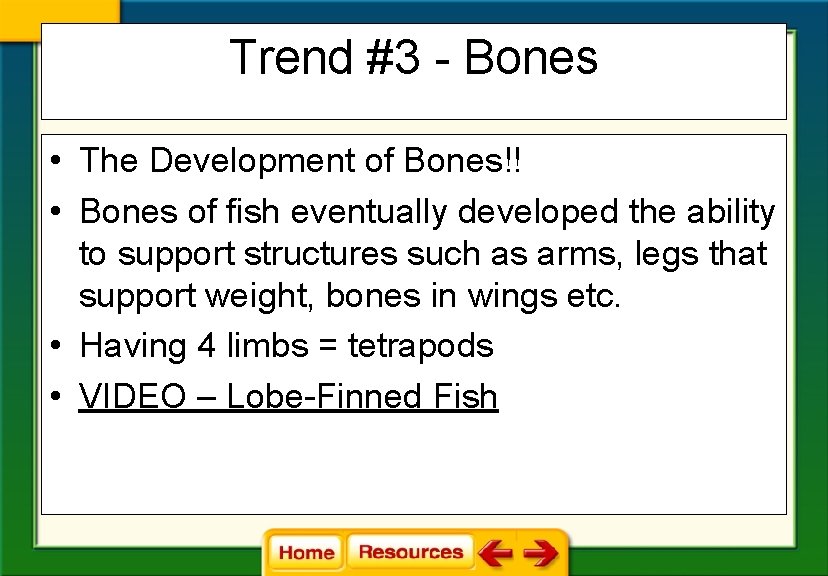 Trend #3 - Bones • The Development of Bones!! • Bones of fish eventually