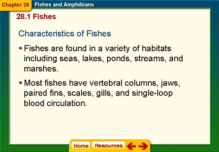 Chapter 28 Fishes and Amphibians 28. 1 Fishes Characteristics of Fishes § Fishes are