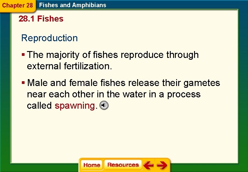 Chapter 28 Fishes and Amphibians 28. 1 Fishes Reproduction § The majority of fishes