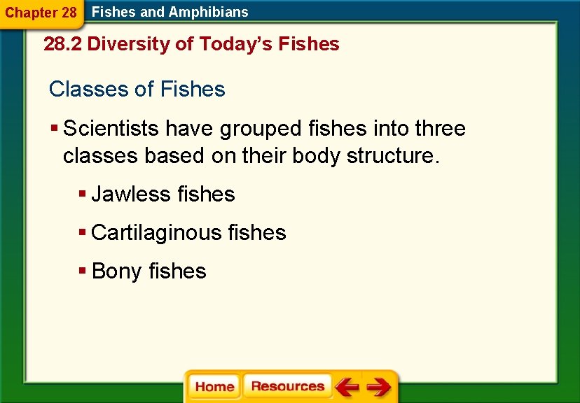 Chapter 28 Fishes and Amphibians 28. 2 Diversity of Today’s Fishes Classes of Fishes