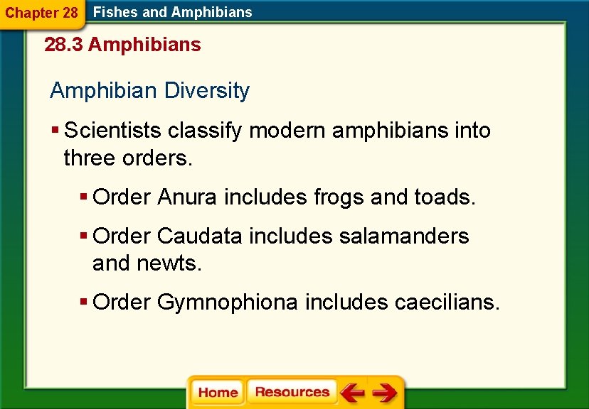 Chapter 28 Fishes and Amphibians 28. 3 Amphibians Amphibian Diversity § Scientists classify modern