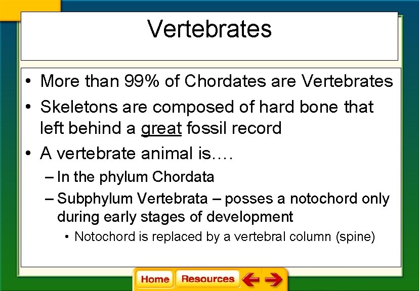 Vertebrates • More than 99% of Chordates are Vertebrates • Skeletons are composed of