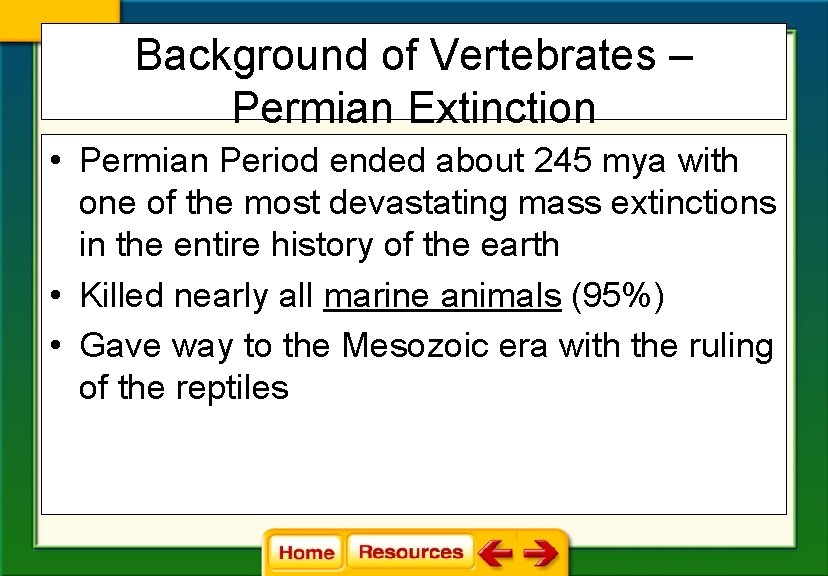 Background of Vertebrates – Permian Extinction • Permian Period ended about 245 mya with