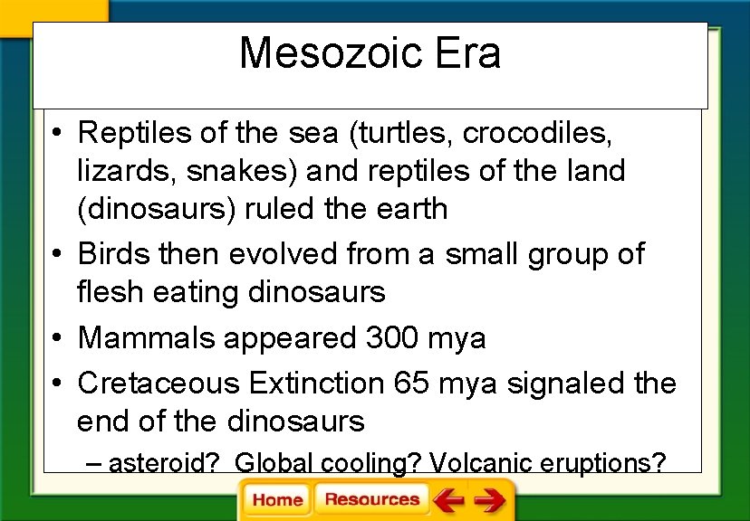 Mesozoic Era • Reptiles of the sea (turtles, crocodiles, lizards, snakes) and reptiles of