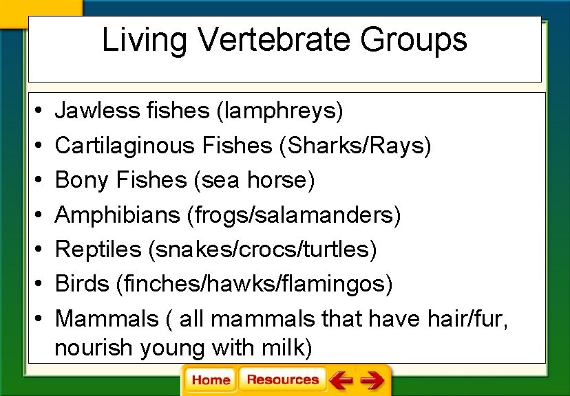 Living Vertebrate Groups • • Jawless fishes (lamphreys) Cartilaginous Fishes (Sharks/Rays) Bony Fishes (sea