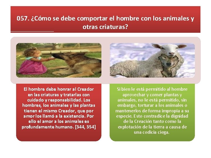 057. ¿Cómo se debe comportar el hombre con los animales y otras criaturas? El