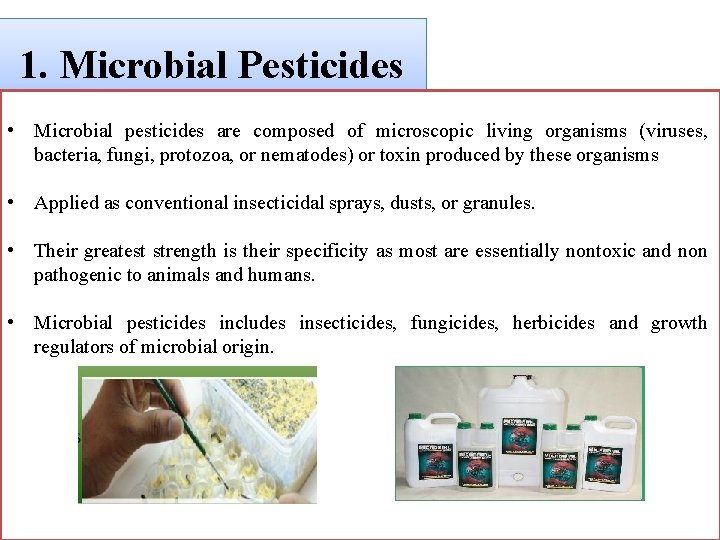 1. Microbial Pesticides • Microbial pesticides are composed of microscopic living organisms (viruses, bacteria,