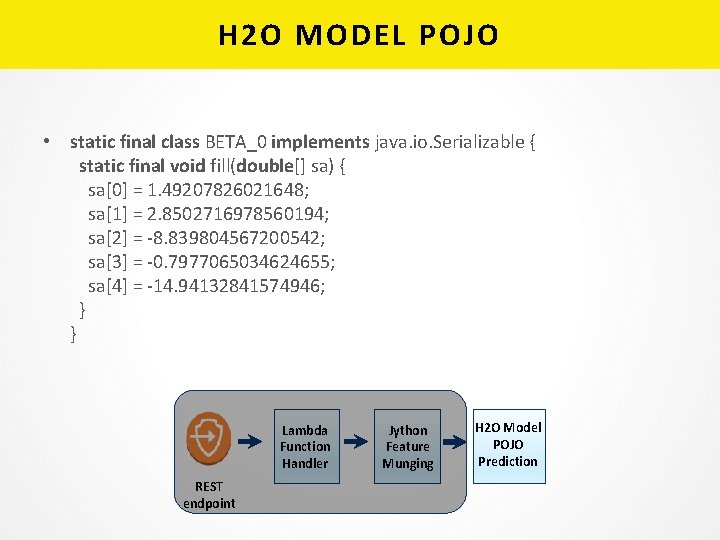 H 2 O MODEL POJO • static final class BETA_0 implements java. io. Serializable