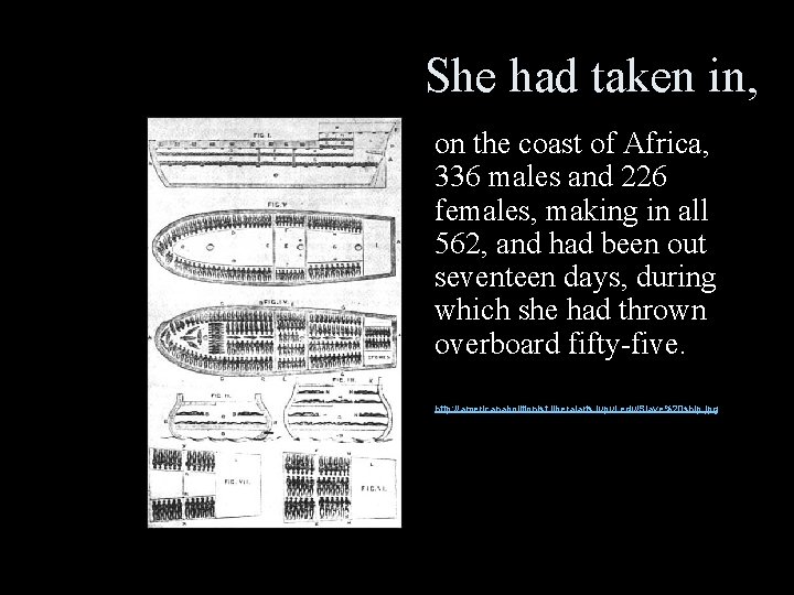 She had taken in, on the coast of Africa, 336 males and 226 females,