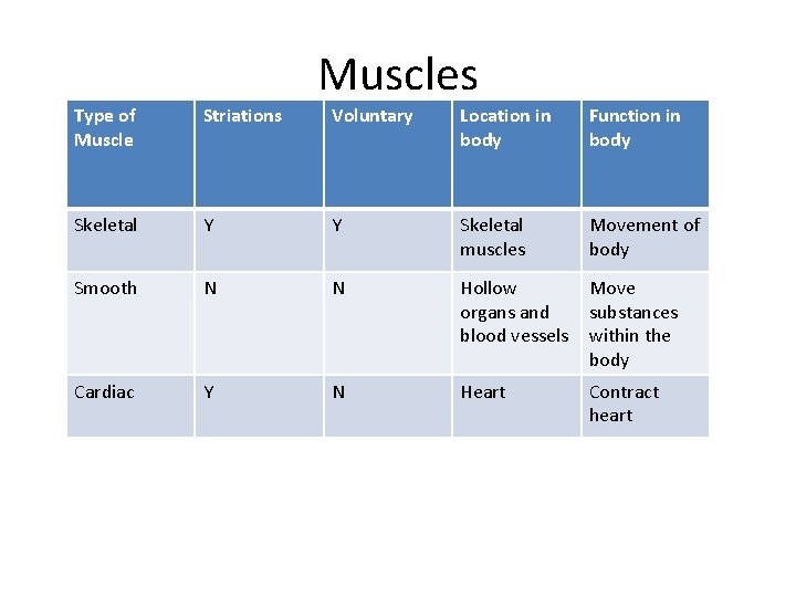 Muscles Type of Muscle Striations Voluntary Location in body Function in body Skeletal Y