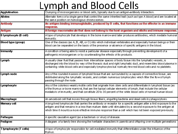 Agglutination Alleles Antibody Antigen B lymphocyte (B cell) Blood type (group) Lymph and Blood