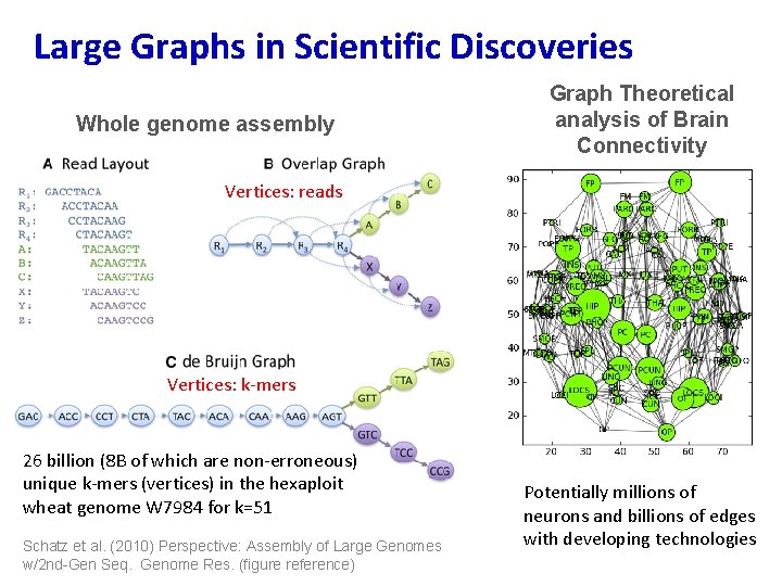 Large Graphs in Scientific Discoveries Whole genome assembly Graph Theoretical analysis of Brain Connectivity