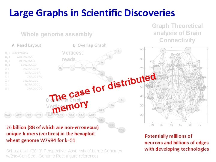 Large Graphs in Scientific Discoveries Graph Theoretical analysis of Brain Connectivity Whole genome assembly