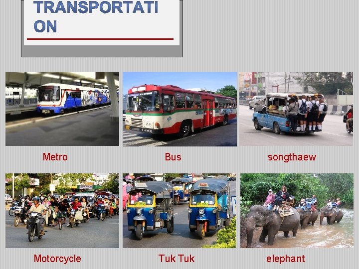 Metro Bus songthaew Motorcycle Tuk elephant 