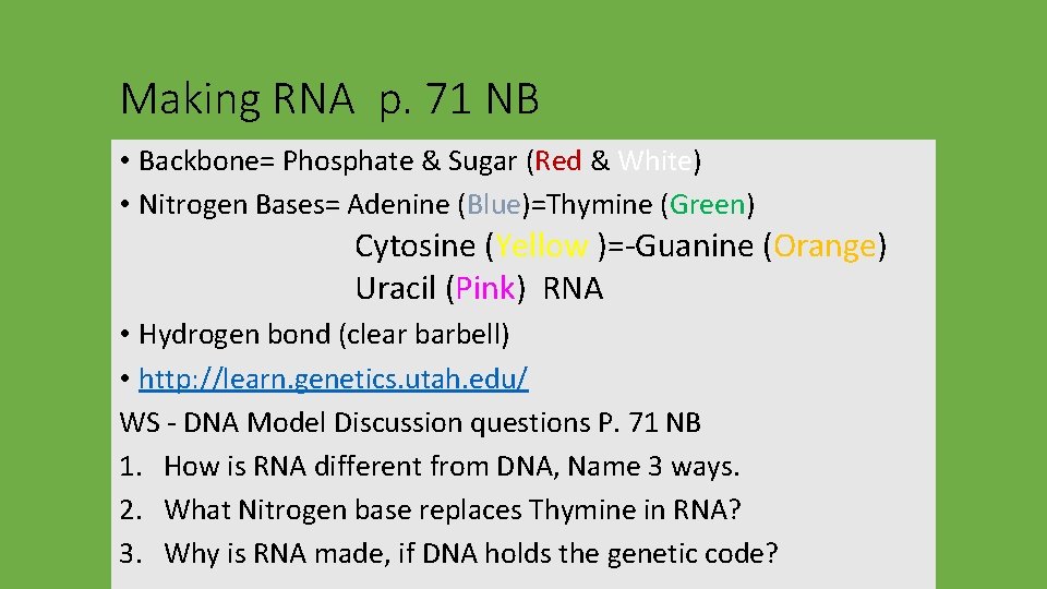 Making RNA p. 71 NB • Backbone= Phosphate & Sugar (Red & White) •