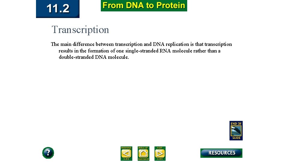 Transcription The main difference between transcription and DNA replication is that transcription results in