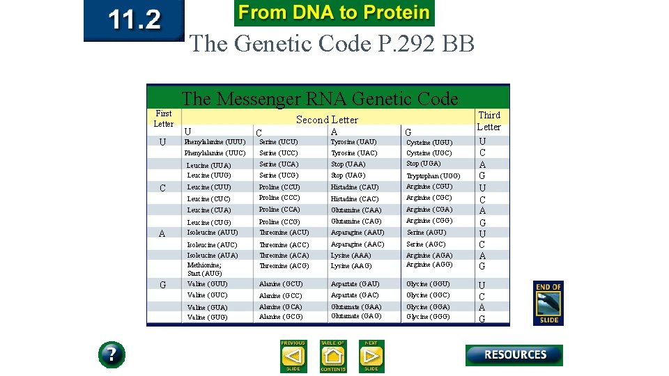 The Genetic Code P. 292 BB The Messenger RNA Genetic Code First Letter U