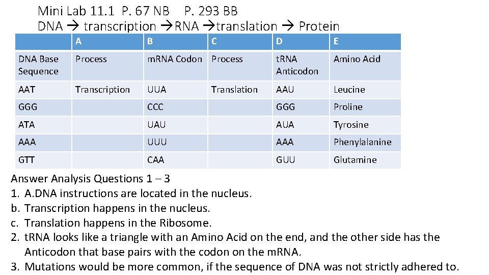 Mini Lab 11. 1 P. 67 NB P. 293 BB DNA transcription RNA translation