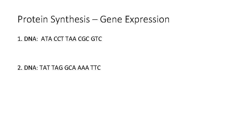 Protein Synthesis – Gene Expression 1. DNA: ATA CCT TAA CGC GTC 2. DNA: