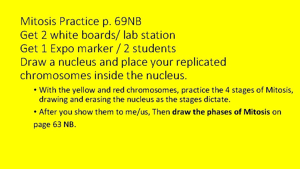 Mitosis Practice p. 69 NB Get 2 white boards/ lab station Get 1 Expo