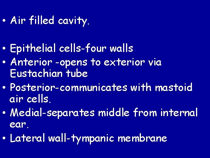  • Air filled cavity. • Epithelial cells-four walls • Anterior -opens to exterior