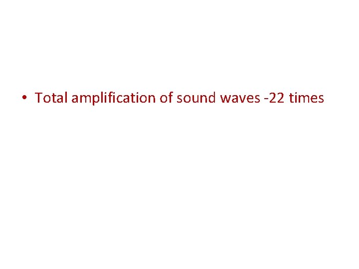  • Total amplification of sound waves -22 times 