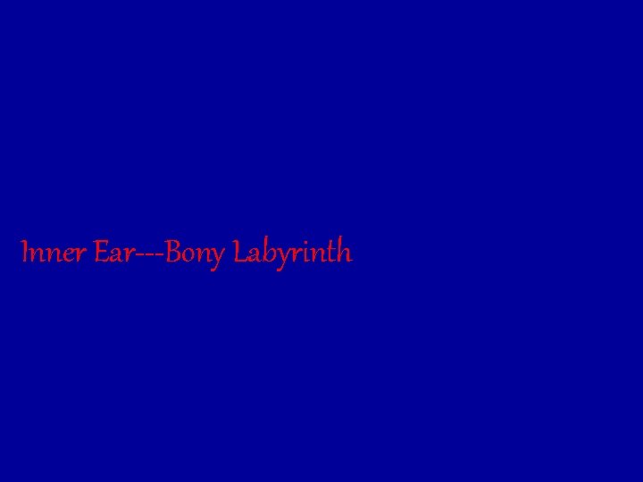 Inner Ear---Bony Labyrinth 