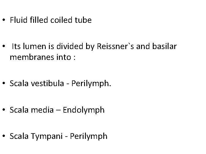  • Fluid filled coiled tube • Its lumen is divided by Reissner`s and