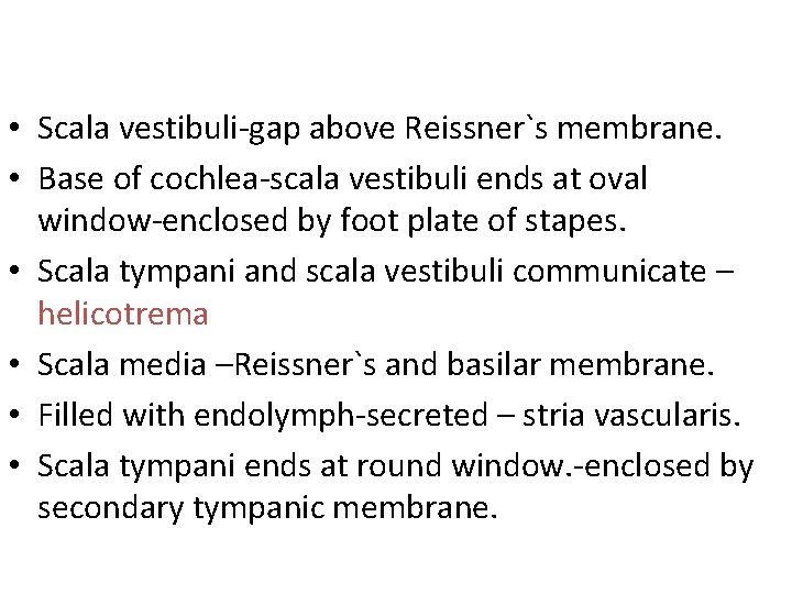  • Scala vestibuli-gap above Reissner`s membrane. • Base of cochlea-scala vestibuli ends at