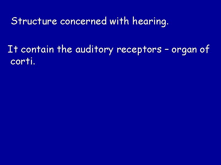 Structure concerned with hearing. It contain the auditory receptors – organ of corti. 