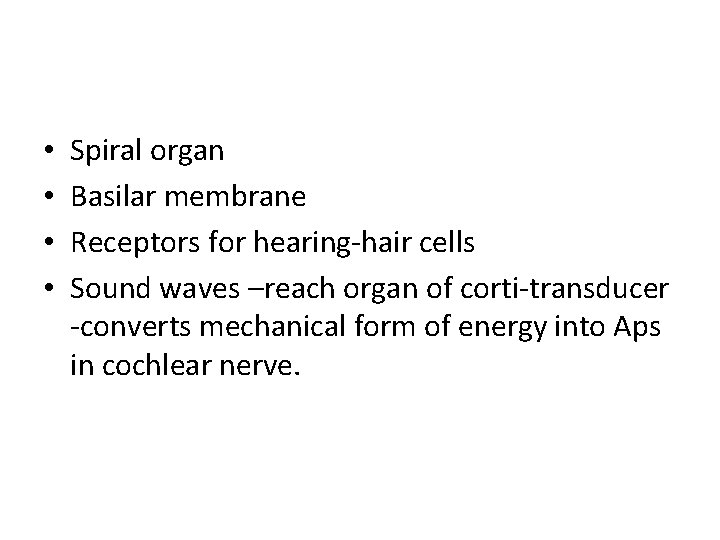  • • Spiral organ Basilar membrane Receptors for hearing-hair cells Sound waves –reach